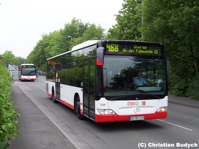 Фирма автобус 1. Dsw21 Dortmund. Дортмунд Фотобус. Автобус фирмы Delling Motors. Автобусы фирмы Северок фото.